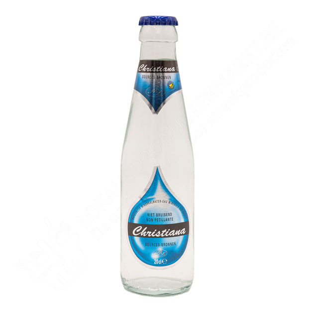 Flesje Natuurlijk mineraalwater - niet-bruisend (20 cl)